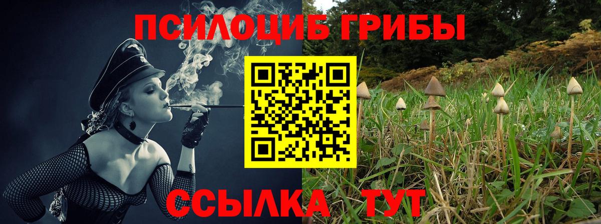 Прокопьевск  Псилоцибиновые грибы мухоморы  Вход с VPN 